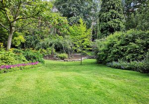 Optimiser l'expérience du jardin à Bresnay